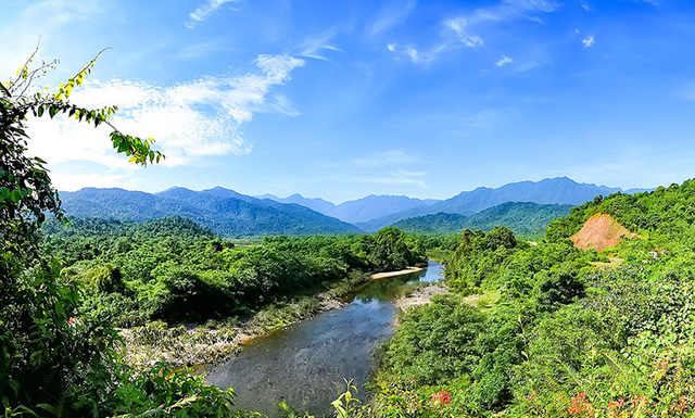 Vườn Quốc gia Vũ Quang