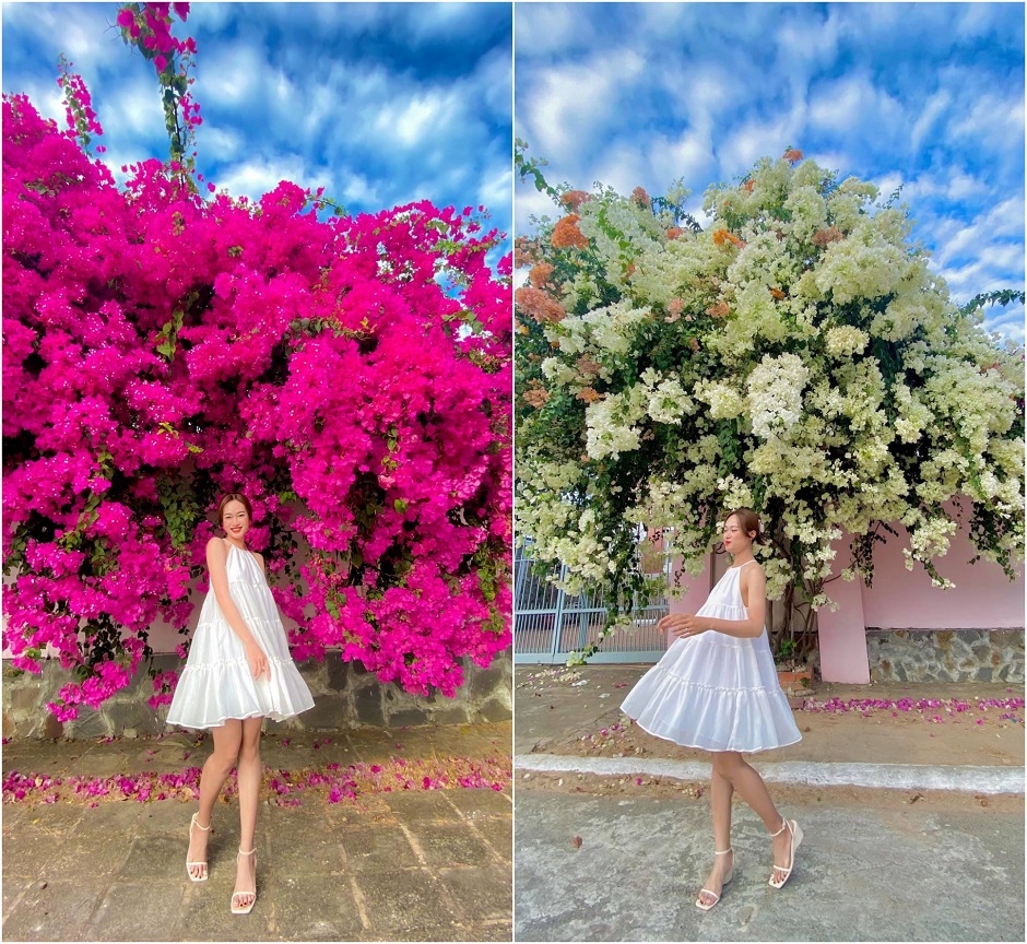 Cách tạo dáng chụp ảnh với hoa giấy đẹp - Cho Thuê Studio 100k/1h