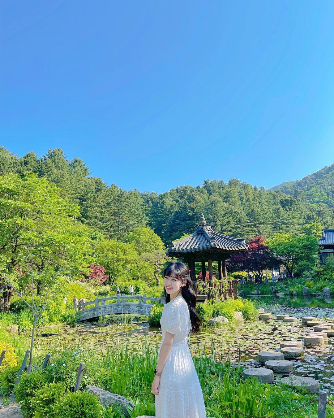 Vườn hoa Morning Calm Hàn Quốc