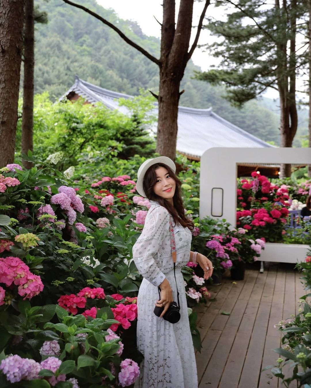 Vườn hoa Morning Calm Hàn Quốc