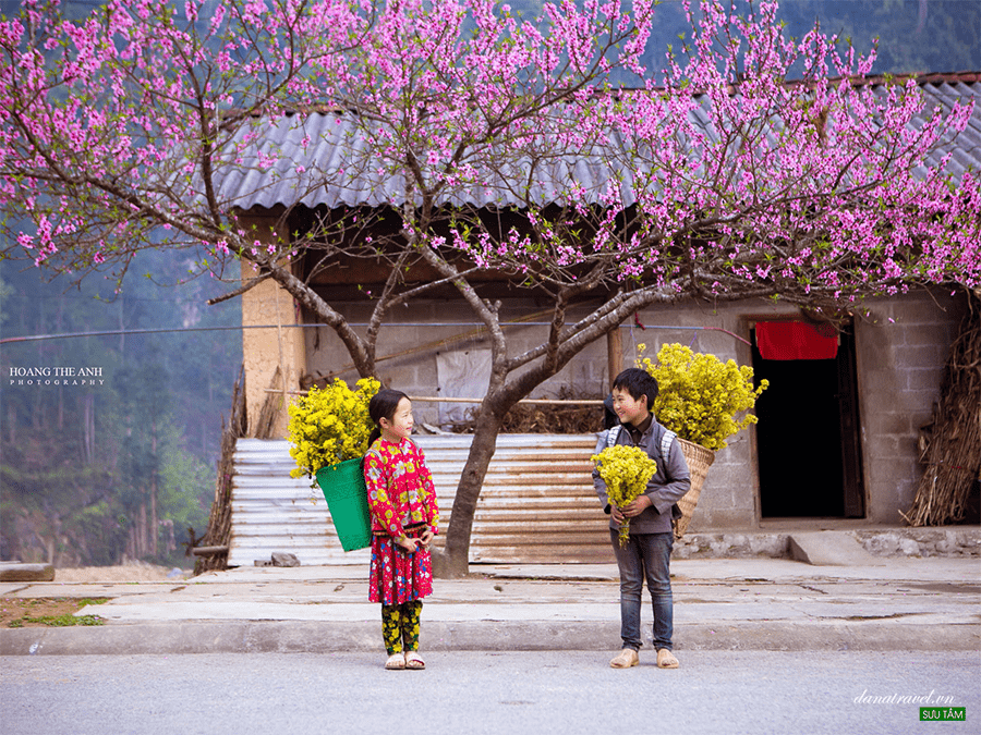 Mùa xuân, ghé thăm những địa điểm ngắm hoa đào nở rộ khắp cao nguyên đá Hà Giang